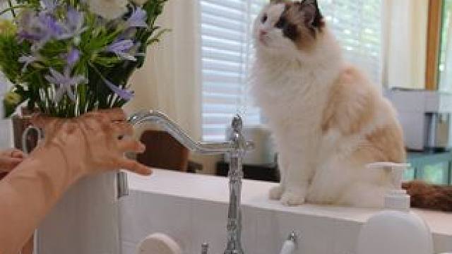 每个人都是非常孤独的 只有在每一个被理解的时刻，孤独才会停止#沉浸式打扫 #在平凡日子里热爱生活 #