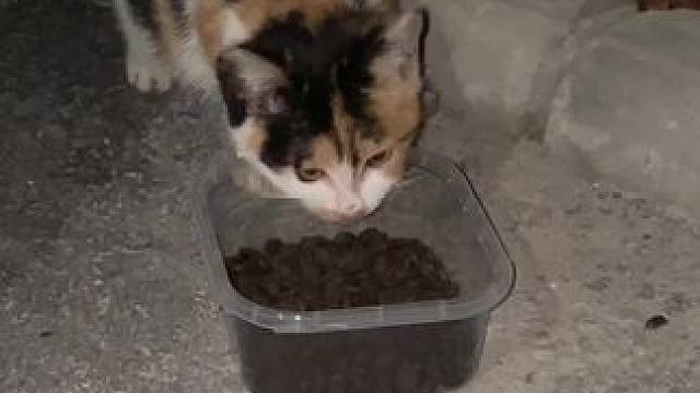 我发布了一个新视频，快来围观吧！