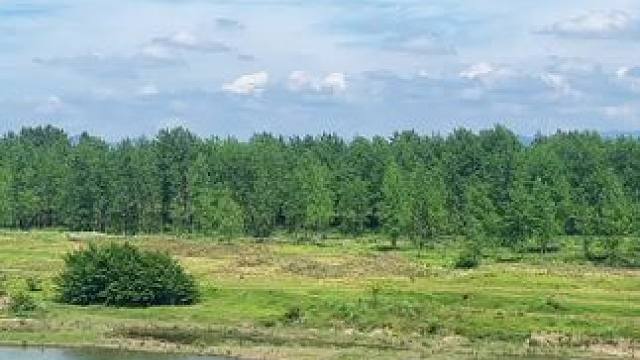 皖南风景 相看两不厌#治愈系风景 #皖南