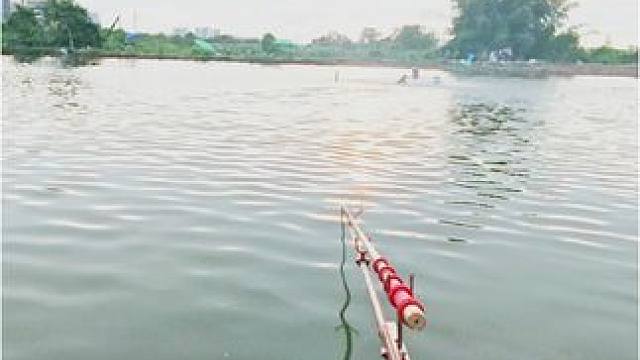 刺鱼器不弹就算了，鱼还跑了！#钓鱼 #钓鱼人 #2024dou来钓鱼 #