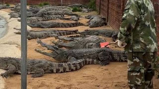 一定要看到最后……