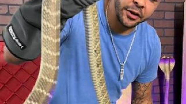 帮它摘眼镜 #专业操作请勿模仿 #奇妙的动物 #野生动物零距离