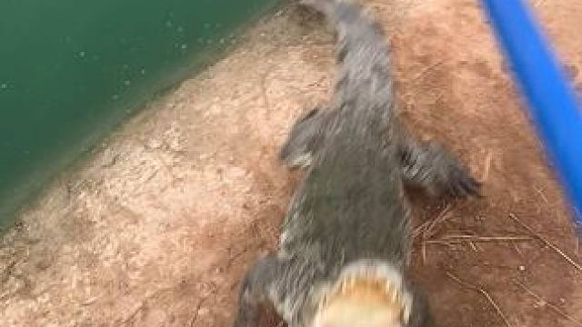 我发布了一个新视频，快来围观吧！