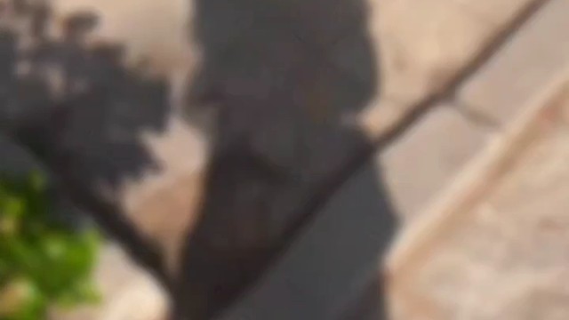 太阳下的另一个自己