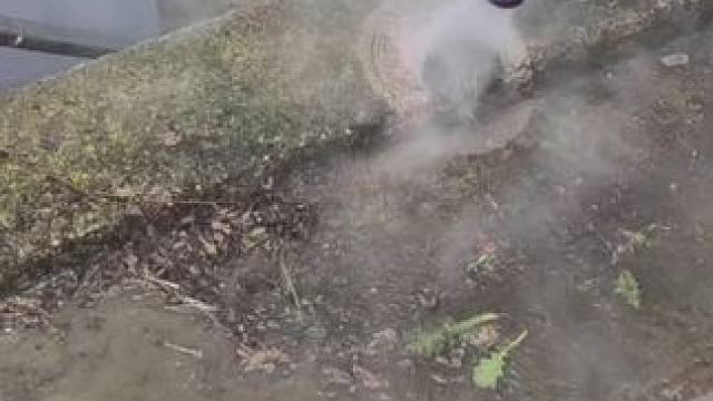 我发布了一个新视频，快来围观吧！