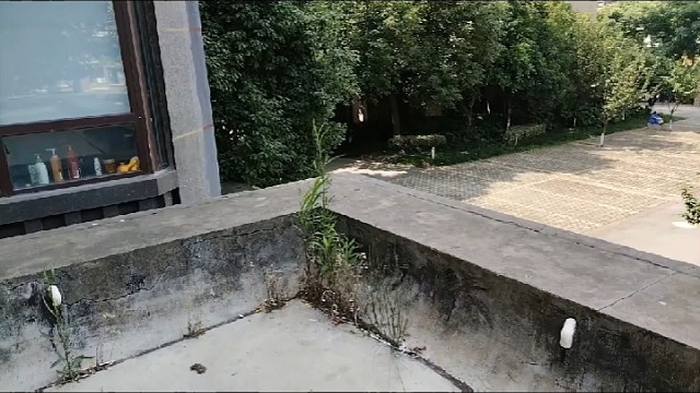 喜欢带露台的朋友们看过来了