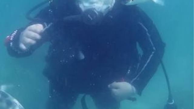 妈妈：没有大号的失败，怎能有小号的成功。 #金牌育言家 #黄金1000天聪明不用等#石同学的多彩生活