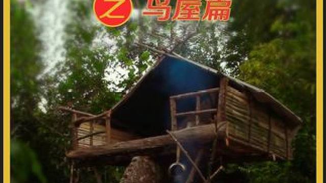 不着地的木屋你喜欢吗 #荒野建造 #野外建造 #户外露营 #解压