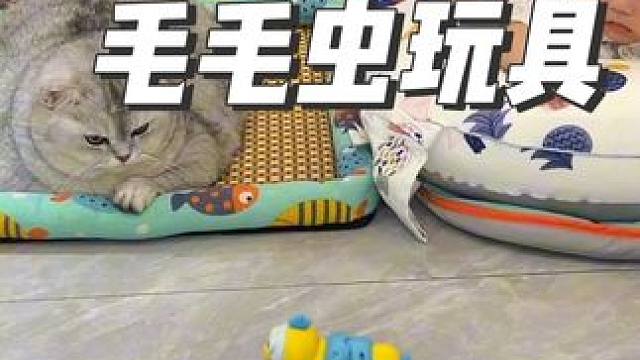这个玩具还挺适合小猫咪跟小朋友玩的嘛 #猫和孩子#毛毛虫爬行玩具