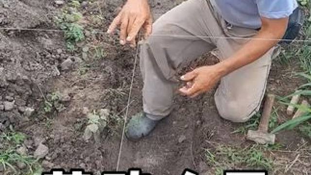 劳动人民的智慧，真是太有才了 #劳动人民的智慧 #神操作 #实用小技巧 ##生活小妙招 #创意