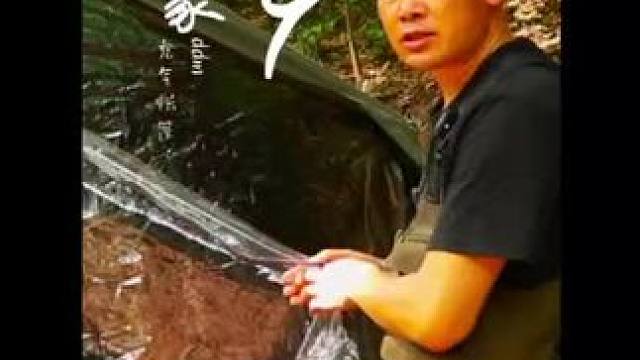 这款帐篷你们觉得如何呢？评论区见#露营 #帐篷 #迪达蒙S9 #开箱