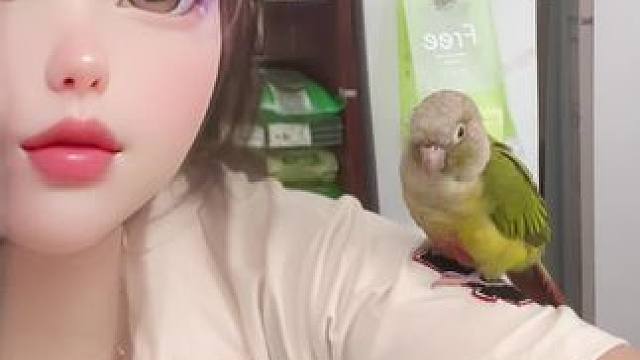 #手养鹦鹉 #鸟鸟教 #鹦鹉亲亲