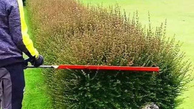 我发布了一个新视频，快来围观吧！