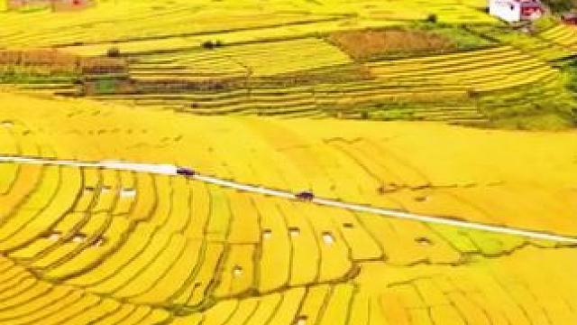 点击左下角下载#番茄畅听 收听更多精彩音乐 #番茄畅听