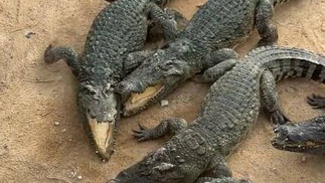 都说发第二次回热门……