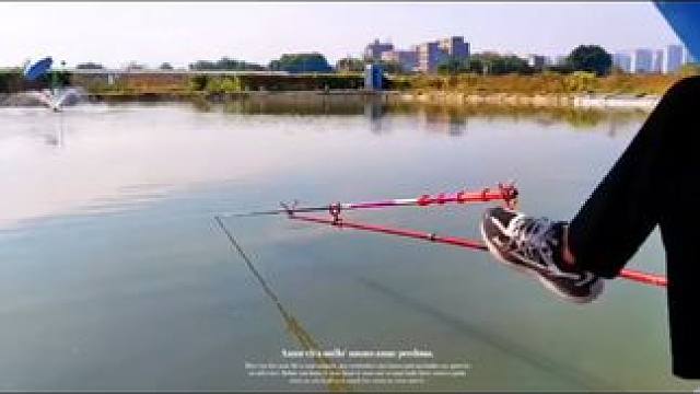 不懂就要问  巨青竿钓重大  还是起重机?#钓鱼 #2024dou来钓鱼