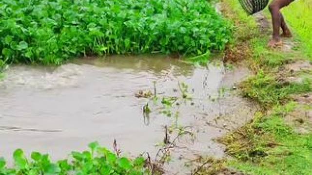 农村生活欢乐多~