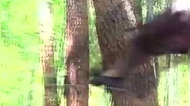 下载《西瓜视频》，免费观看精彩后续/精彩海量免费短剧免费看！ #因为一个片段看了整部剧