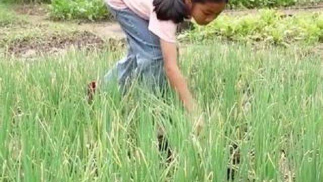 东南亚美食 #农村生活 #农村美食 #乡村味道 #舌尖美味