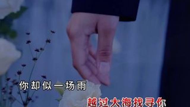 点击左下方下载番茄畅听 听完整版#番茄畅听音乐版 #化风行万里