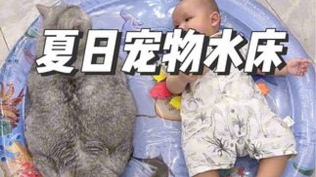 还好入了大号的，刚好够俩娃一起躺 #猫和宝宝的日常