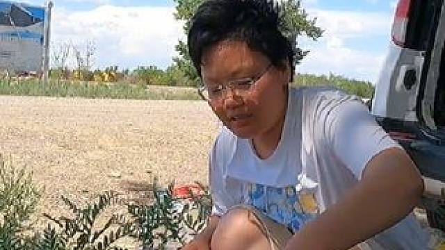 新疆的水渠真得是救命！找个树荫开火做饭#新疆 #露营 #床车生活 #穷游 #猫