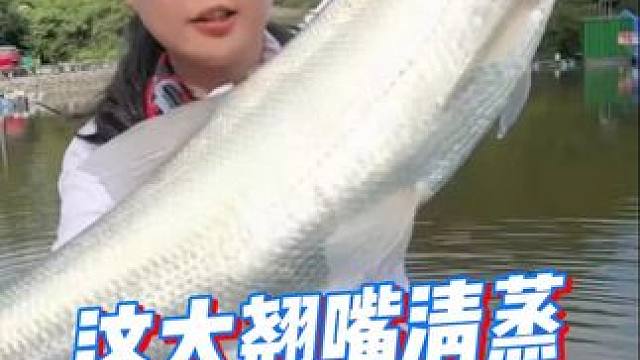 同款鹞套装直播间正在讲解中！#佳钓尼岚酷路亚 #路亚 #钓鱼 #爱生活爱