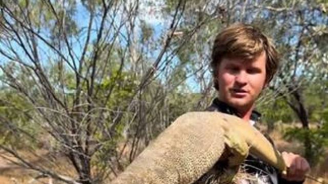 #国外视频分享 #专业操作请勿模仿 #野生动物零距离