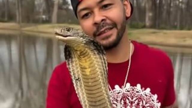 且看且珍惜 #国外视频分享 #专业操作请勿模仿 #野生动物零距离