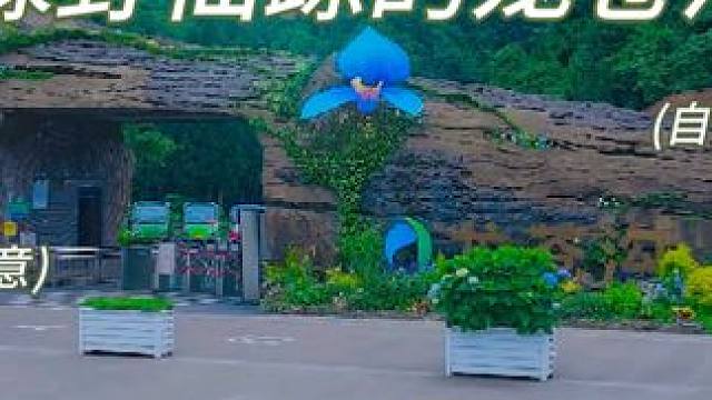 23度的夏天在等你#成都夏日玩水好去处推荐 #网红瀑布 #大自然天然氧吧 #治愈系风景 #成都夏日避