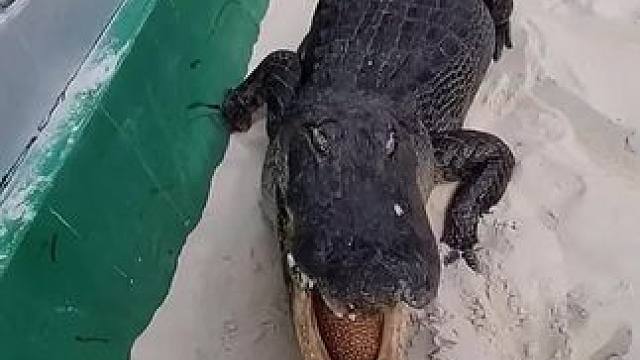 好温柔的大皮鞋！