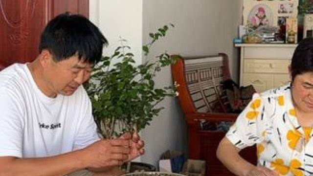 英子今天包饺子吃 #农村生活日常