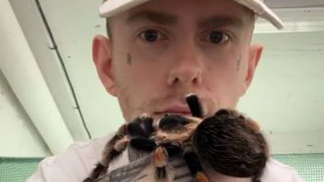 #国外视频分享 #昆虫 #宠物