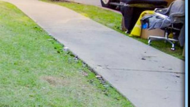 小伙搬了个新家，小狗刚来就被砸成煎饼，离奇事件接连不断#电影解说