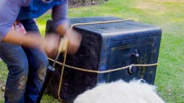 小伙搬了个新家，小狗刚来就被砸成煎饼，离奇事件接连不断#电影解说