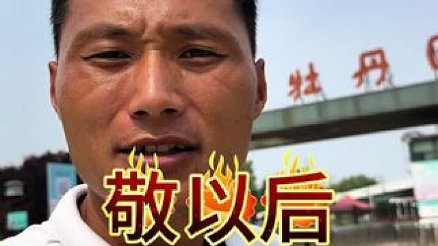 敬以后是霓虹老师唱的歌。感恩。 