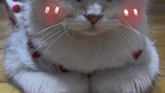 人家可是揣手手仙女呢