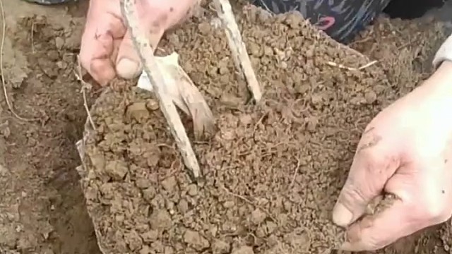 挖不完，根本挖不完