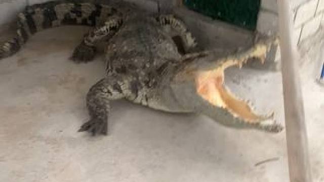 吃个饭都要叫，你说这该不该打……