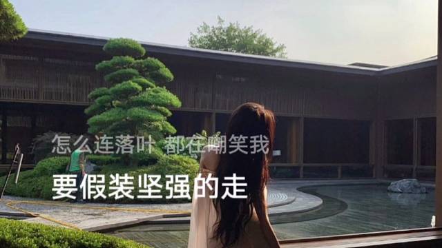 深夜，依然孑然一身，只有自己