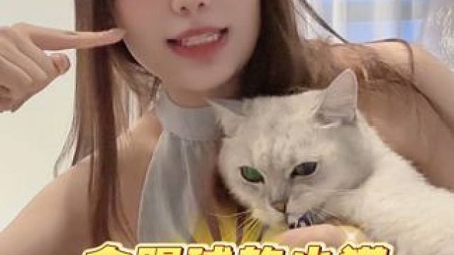 我家喵大仙发力了！今晚的三场欧洲杯颤抖吧！ #dou来欧洲杯 #欧洲杯花式竞猜 #欧洲杯 #西班牙v