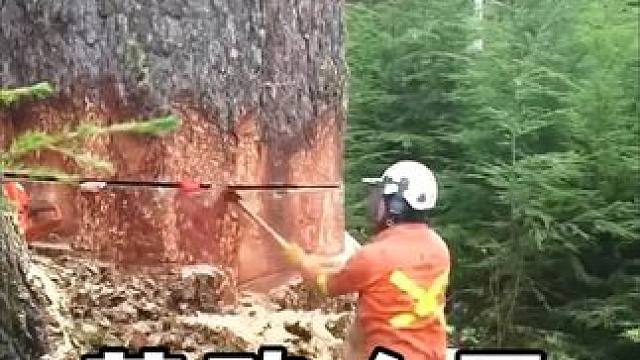 #劳动人民的智慧 #神操作 #高手在民间 #生活小妙招 #实用小技巧