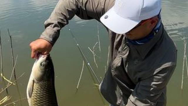 见过盘老板的，头一回听说盘自己老表的，我是全力以赴还是见好就收呢？#六月