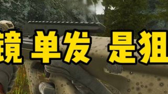 #逃离塔科夫  倍镜  单发 是狙！