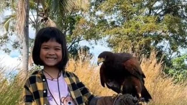 小女孩的宠物栗翅鹰 #国外视频分享 #奇妙的动物 #栗翅鹰