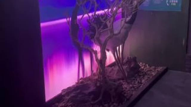 连锁品牌康怡雅会三周年庆来啦，现推出周年庆福利79.9元70分钟的中式足底按摩！
环境清新雅致
包间