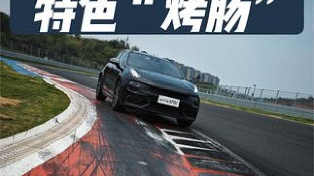 进阶攻略！天府国际赛道特色“烤肠” #天府国际赛道 #赛车 #汽车文化 #赛车运动 #弯道