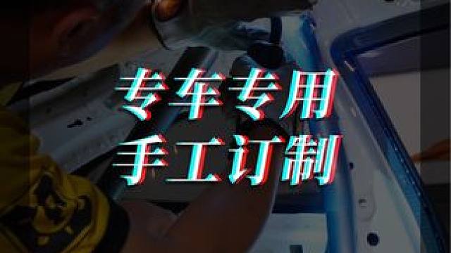 专车专用 手工订制！ 
#廖洋玩车 #赛车手 #赛车手日常 #TWracing #d2racing