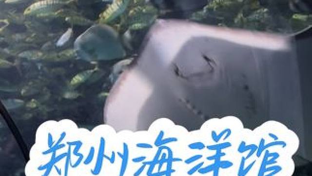 我许愿了 都会变好的#这一秒只想在海里沉溺 #蓝色治愈系 #治愈自己 #整个夏天想和你环游世界 #甜