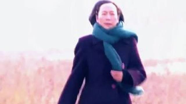 下载《西瓜视频》，免费观看精彩后续/精彩海量免费短剧免费看！ #因为一个片段看了整部剧